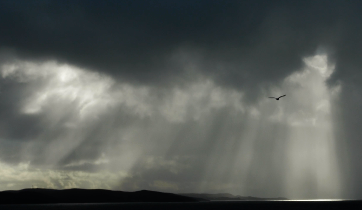 a sea bird flies over a dark and gloomy sky with rays of light shining through the clouds