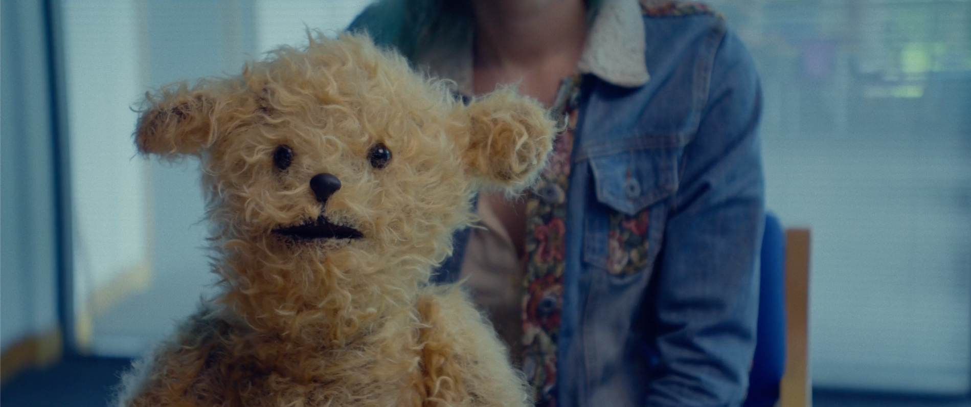 A stuffed teddy bear looks at the camera in an office interview room